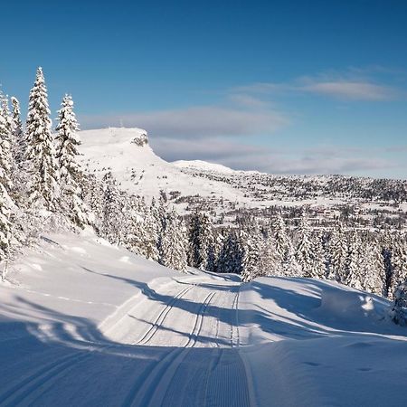 Skeikampen Leilighet, Veslesetervegen 973 F Apartman Svingvoll Kültér fotó