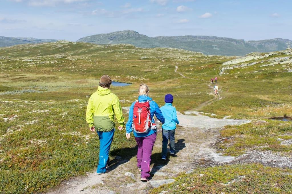 Skeikampen Leilighet, Veslesetervegen 973 F Apartman Svingvoll Kültér fotó